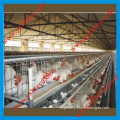 Poultry Equipment for Layers